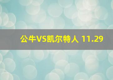 公牛VS凯尔特人 11.29